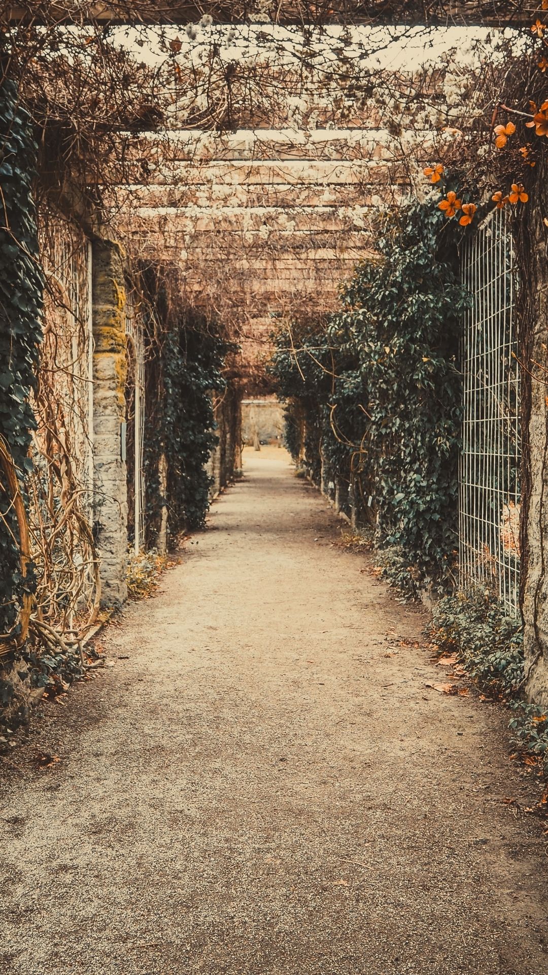 Fairmounts (Instagram Post (45)) (1)