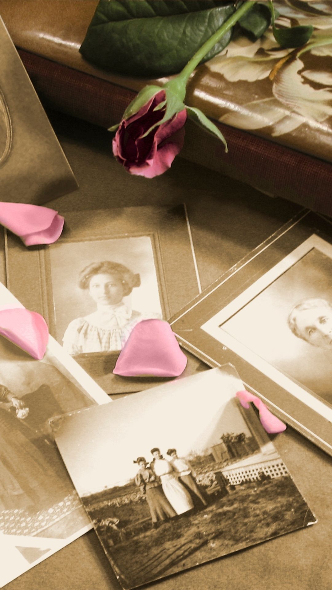 Fairmounts (Instagram Post (45)) (3)